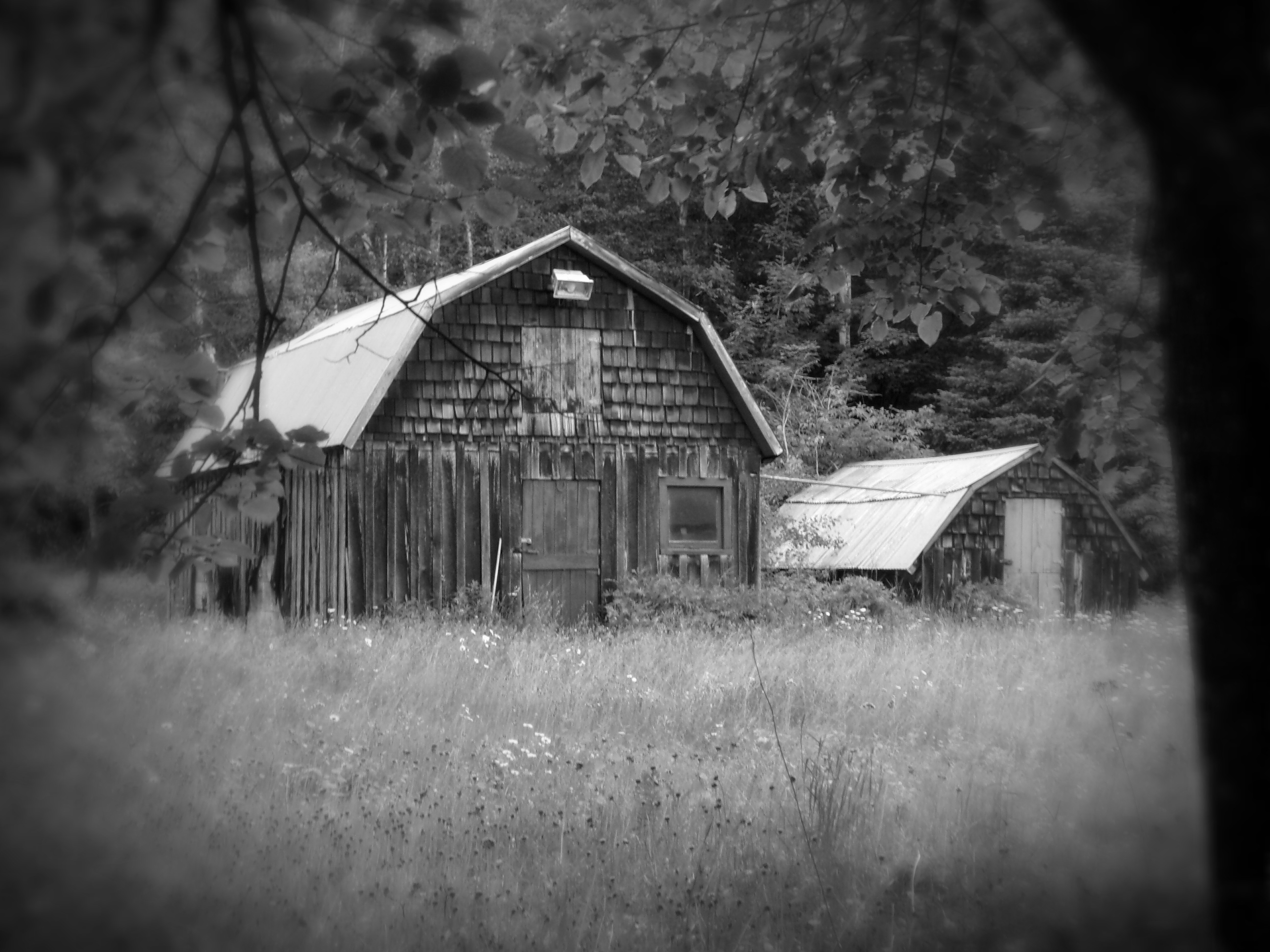 Black and white barn photograph